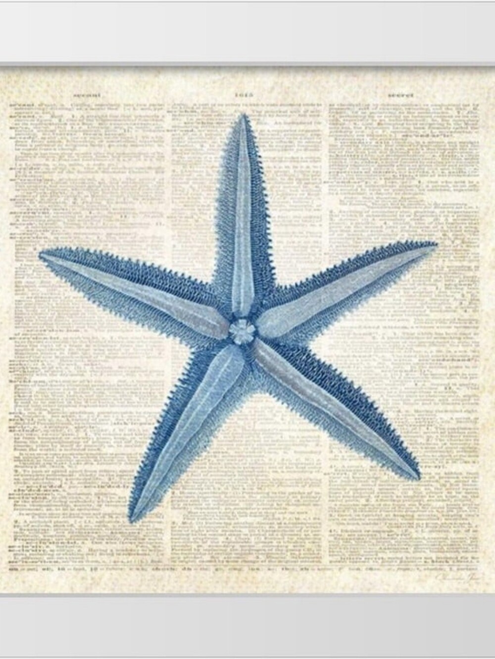 Coastal Blue Starfish Wall Art 14x14